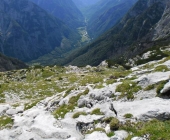 Kriški podi