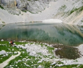Kriški podi
