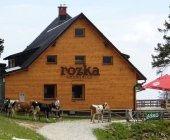 Krvavec