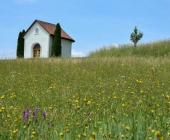 Laško