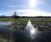 Ljubljansko barje