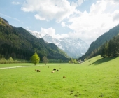 Logarska dolina