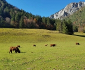 Logarska dolina