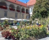 Mariborski grad