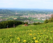 Mariborsko pohorje