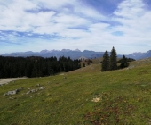 Menina planina