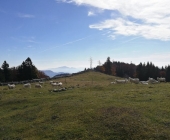 Menina planina
