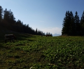 Menina planina