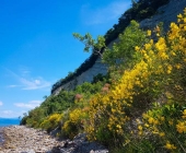 Mesečev zaliv