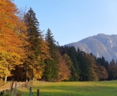 Mojstrana