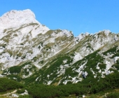 Ojstrica
