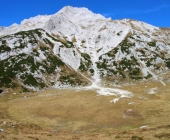 Ojstrica