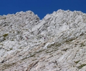 Ojstrica