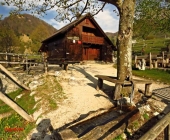 Planina Kuhinja
