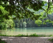 Planšarsko jezero