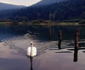 Podpeško jezero