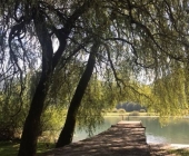 Podpeško jezero