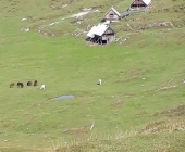 Pokljuka