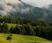 Polhov Gradec