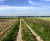 Prekmurje