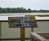 Ptujsko jezero
