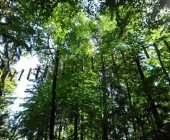 Pustolovski park Bled