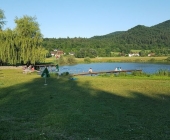 Rakitna