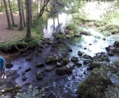 Reka Krka