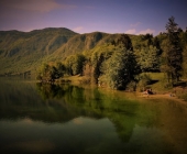 Ribčev Laz