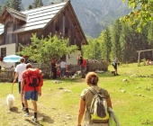 Robanov kot
