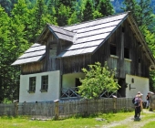 Robanov kot