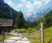 Robanov kot