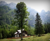 Robanov kot