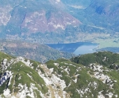 Rodica