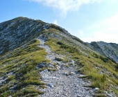 Rodica
