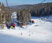mucisce-rogla