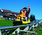 rogla-sankanje