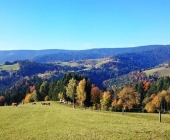 Rogla
