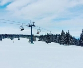 Rogla
