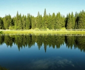 Rogla