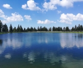 Rogla