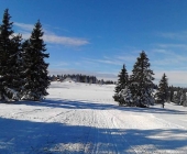 Rogla