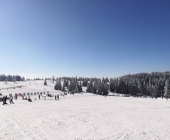 Rogla