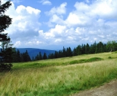 Rogla