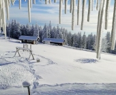 Rogla