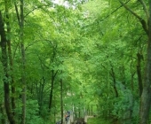 Škocjanske jame