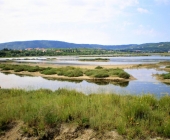 Škocjanski zatok