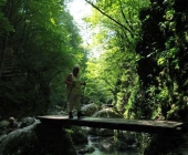 pot do slapa Kozjak
