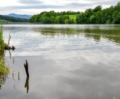 Šmartinsko jezero