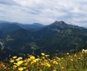 Soriška planina